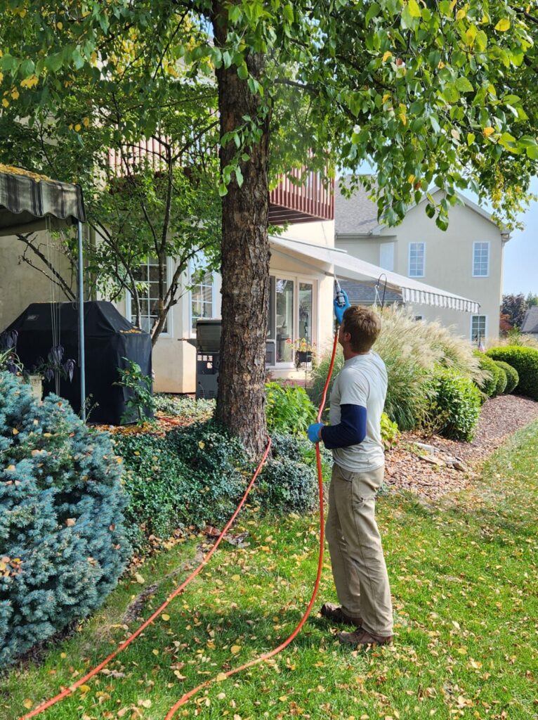 pest control professional in harrisonburg VA