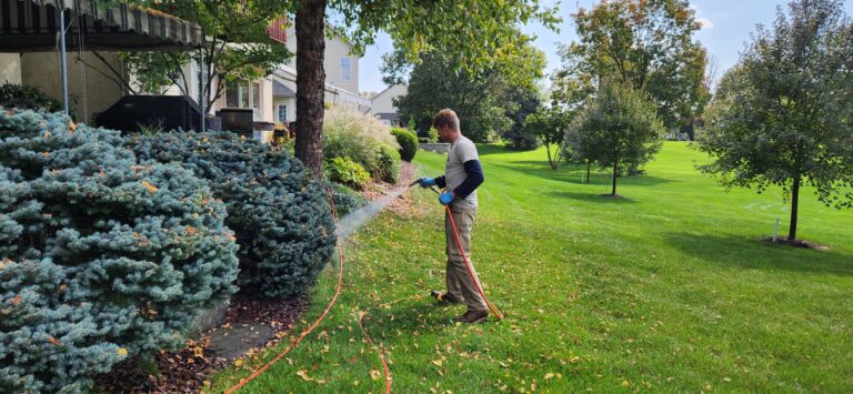 Pest control and extermination in harrisonburg VA